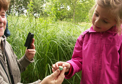 NaturFreunde Umweltbildung